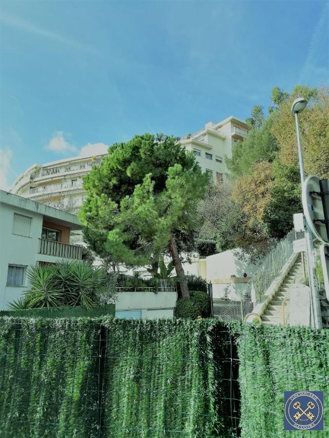 Nice View Jolie Studio Avec Jardin מראה חיצוני תמונה